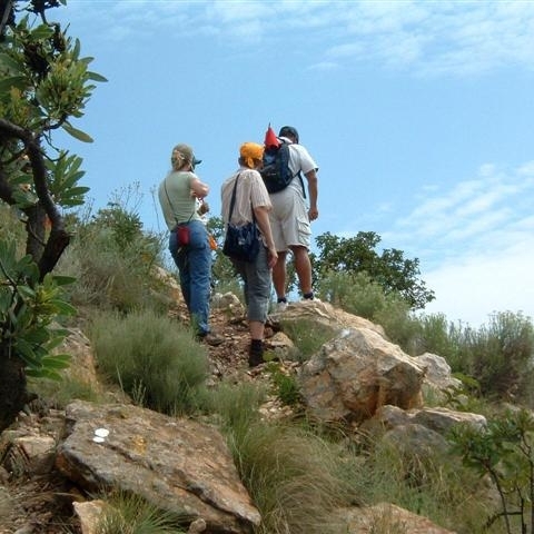 Treasure Hunting

A team building exercise meant to sharpen communication effectiveness to complete a task 
Facilitating Mutual Understanding
Initial session to bring two teams merging into one unit
